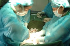 ������в𴩡�α������ʦ��(1)