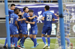 ���˹��ʣ������г�Ͷ��ή�ͣ�